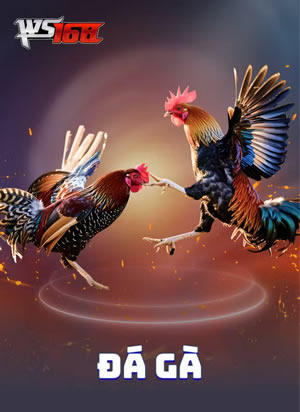 Trò Chơi Bài